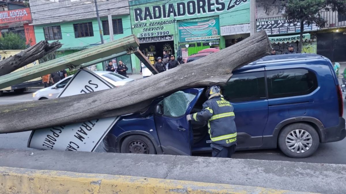 Emergencia . En Iztapalapa, un árbol cayó de raíz; impactó sobre un vehículo, lesionando al conductor.