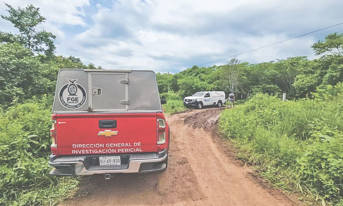 HOMICIDIO. El cuerpo de Martín García Corrales, supuesto operador de El Mayo Zambada,  fue localizado el domingo en el municipio de Elota, junto a dos cadáveres más.