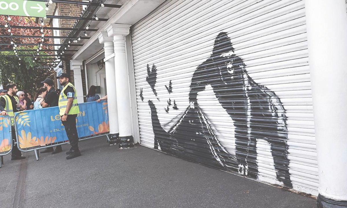 El artista urbano desveló ayer un graffiti en el zoológico de la capital de un gorila que libera a otros animales cautivos