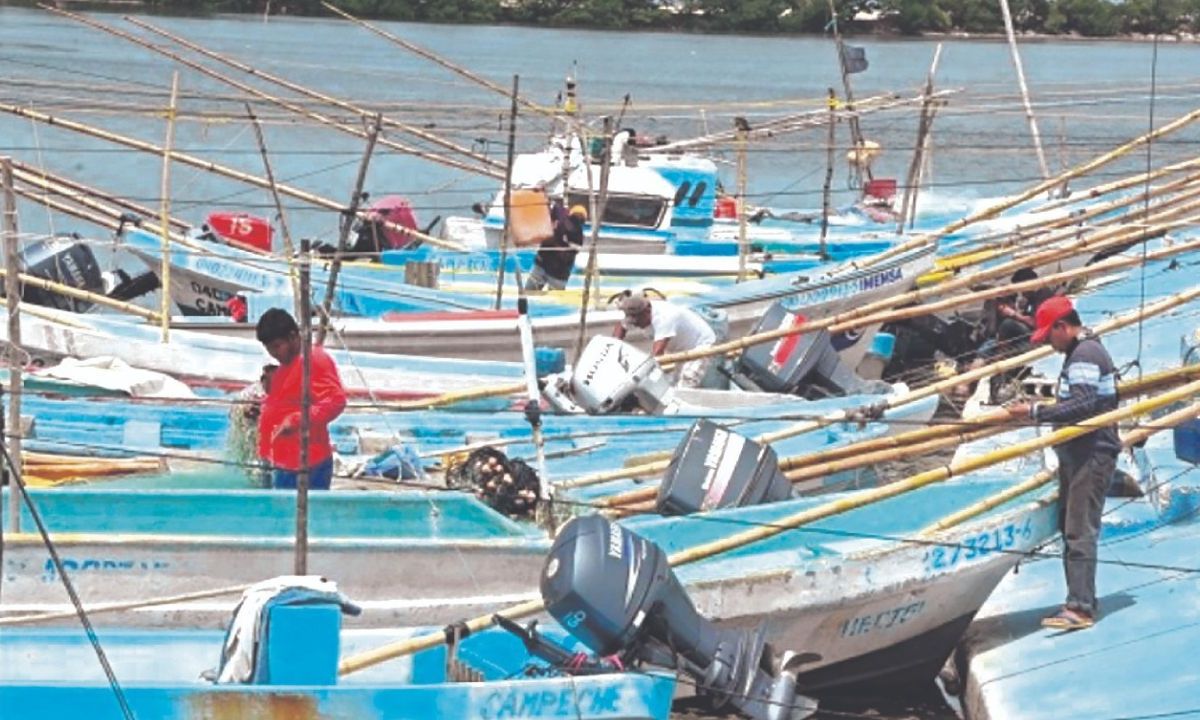 CONFLICTO. Pescadores yucatecos y foráneos pelean por la pesca del preciado molusco en Telchac Puerto.