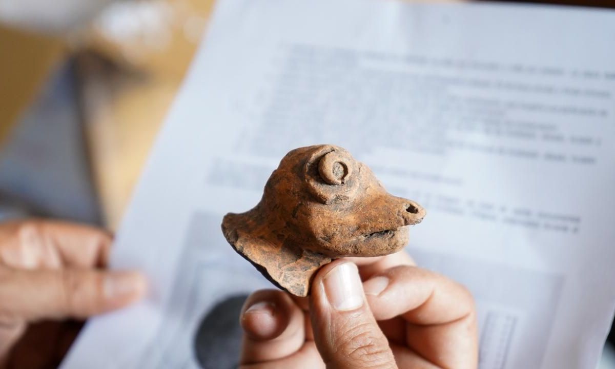 De conformidad con los dictámenes elaborados por los especialistas del Instituto se determinó que las piezas pertenecen al patrimonio cultural de la nación mexicana, protegidas por la Ley Federal sobre Monumentos y Zonas Arqueológicos, Artísticos e Históricos.