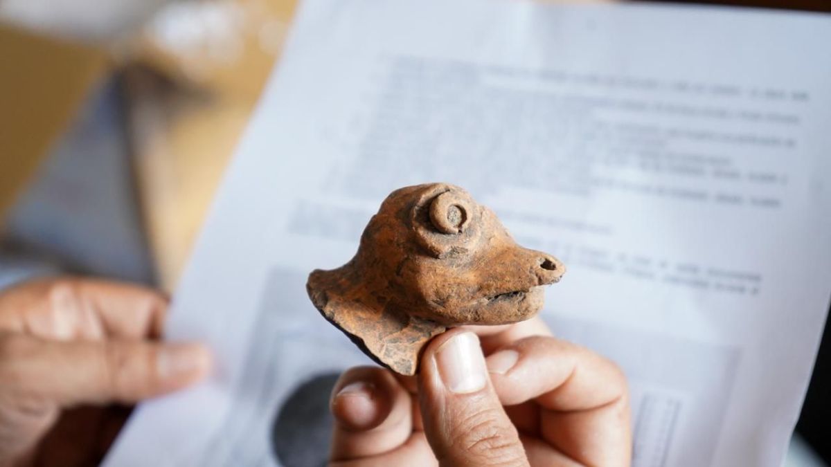 De conformidad con los dictámenes elaborados por los especialistas del Instituto se determinó que las piezas pertenecen al patrimonio cultural de la nación mexicana, protegidas por la Ley Federal sobre Monumentos y Zonas Arqueológicos, Artísticos e Históricos.