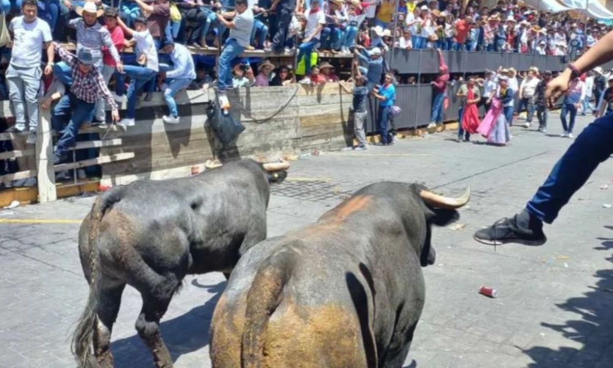 SALDO. Dos de los lesionados no son de Tlaxcala, uno es de Veracruz y el otro de Nuevo León.