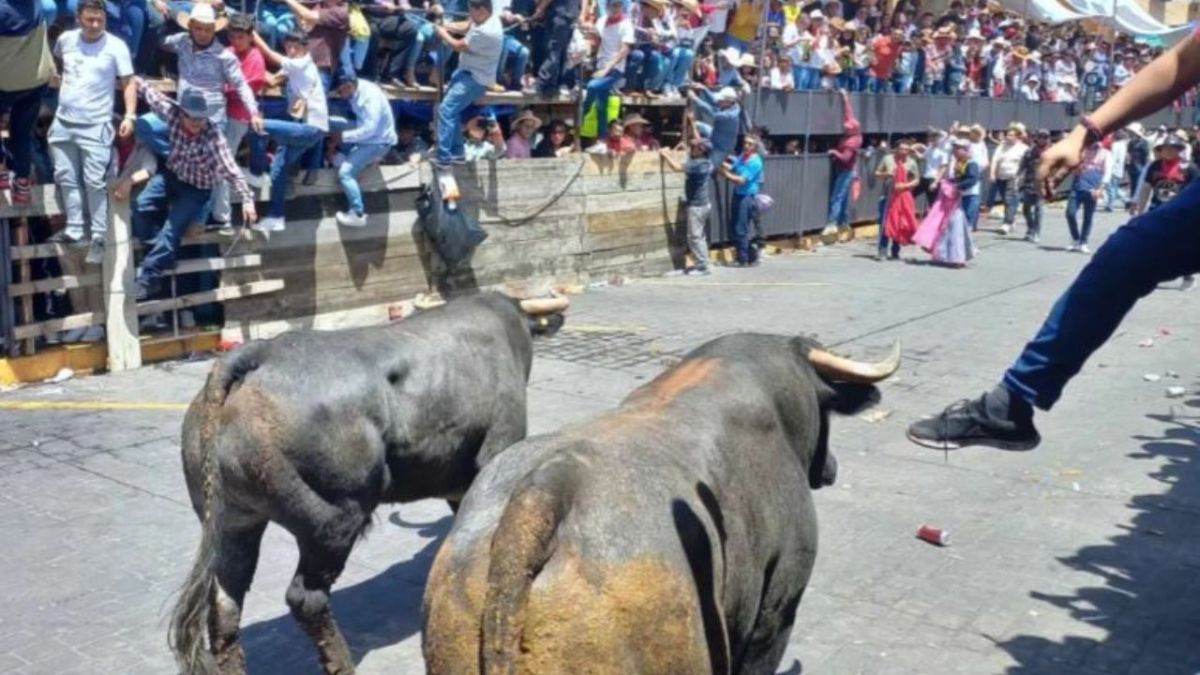 SALDO. Dos de los lesionados no son de Tlaxcala, uno es de Veracruz y el otro de Nuevo León.