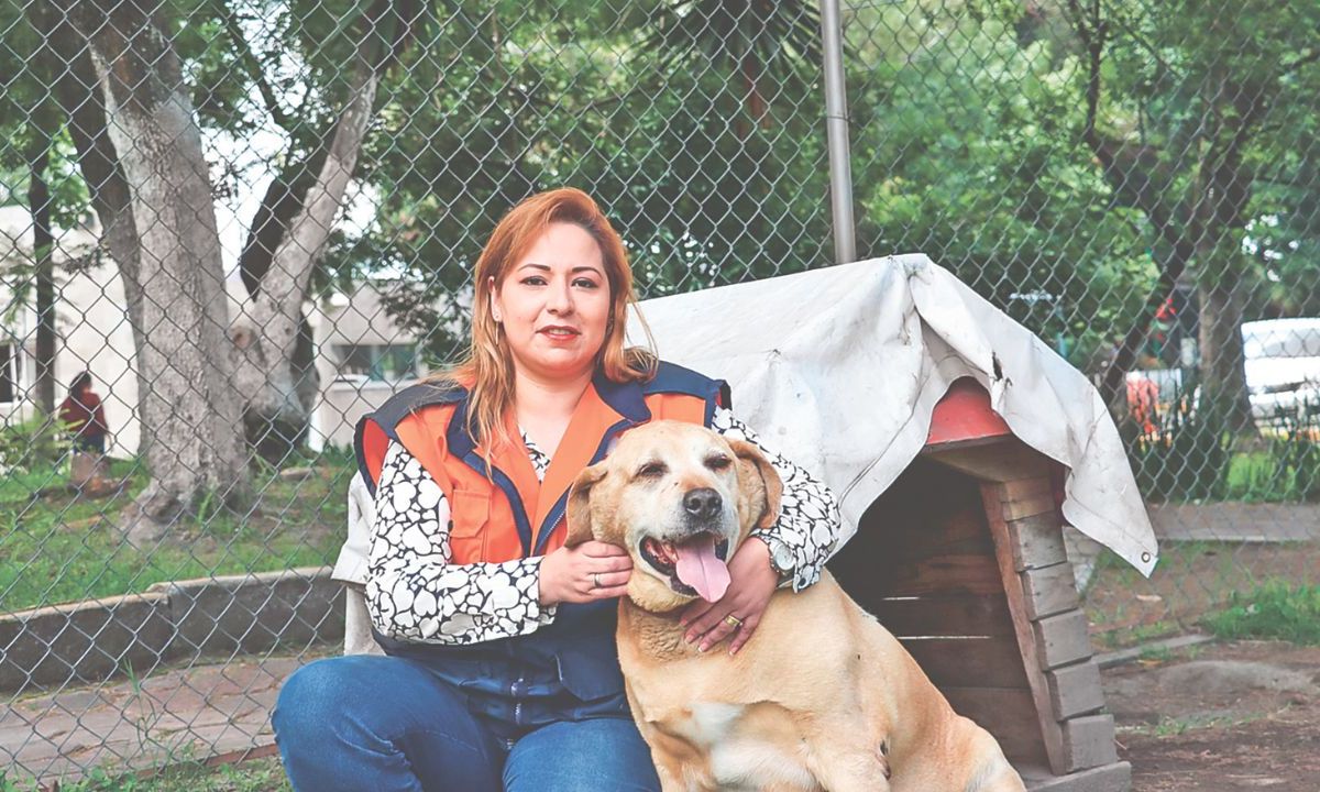 Objetivo. La Central de Abasto apuntó que estas acciones fomentan la tenencia responsable y disminuye la población feral.