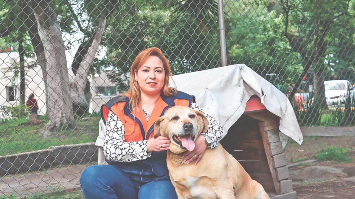 Objetivo. La Central de Abasto apuntó que estas acciones fomentan la tenencia responsable y disminuye la población feral.