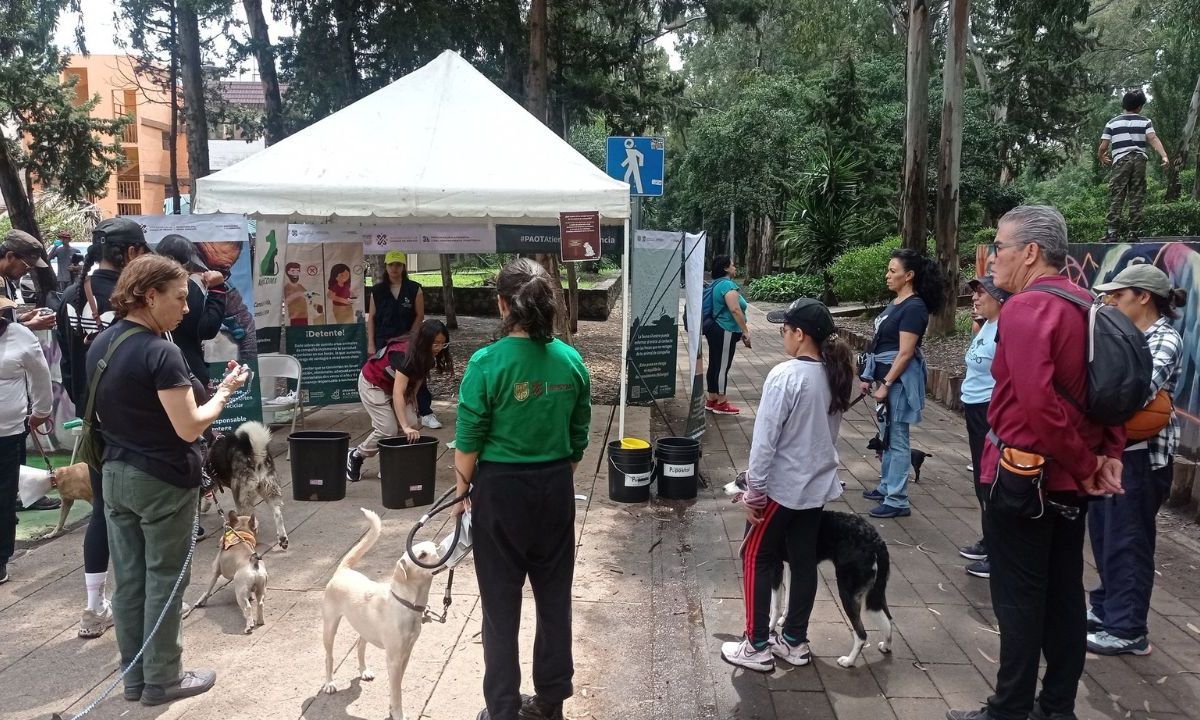 Valoración. El diputado Royfid Torres exigió desde la Comisión Permanente el cumplimiento de las leyes animales en la capital del país.