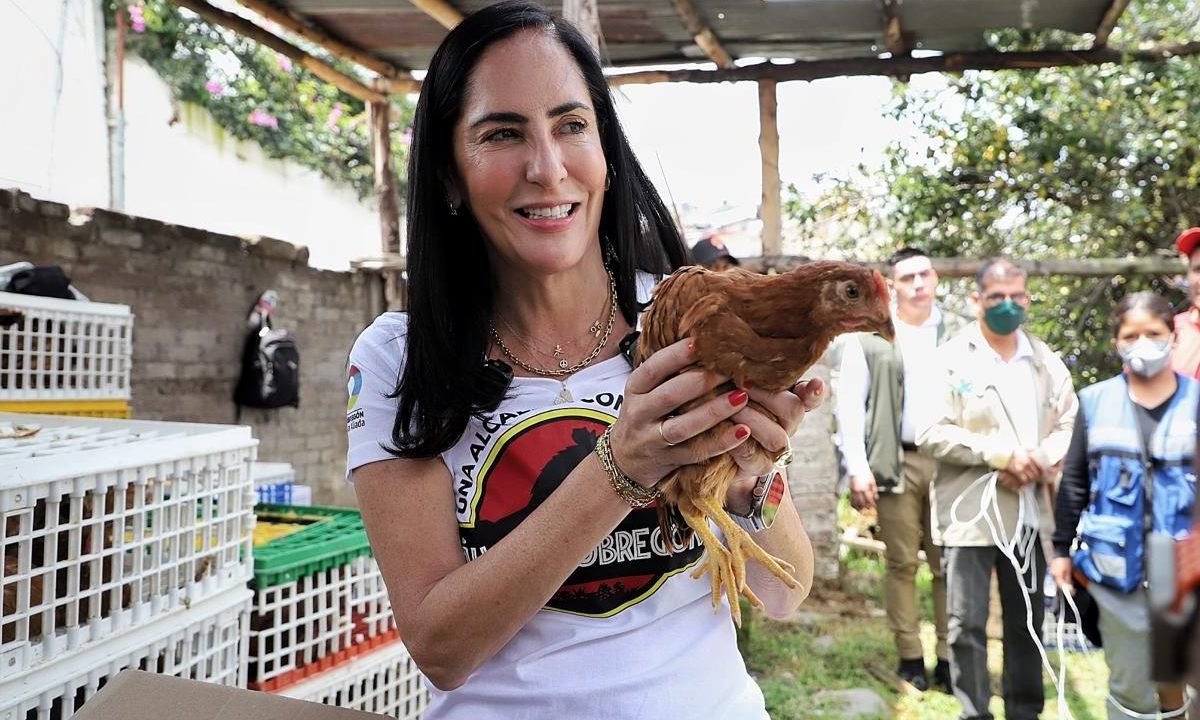 Como parte de “Alimento Sustentable 2024”, la alcaldesa de Álvaro Obregón, Lía Limón, entregó mil 800 gallinas de postura a 180 familias