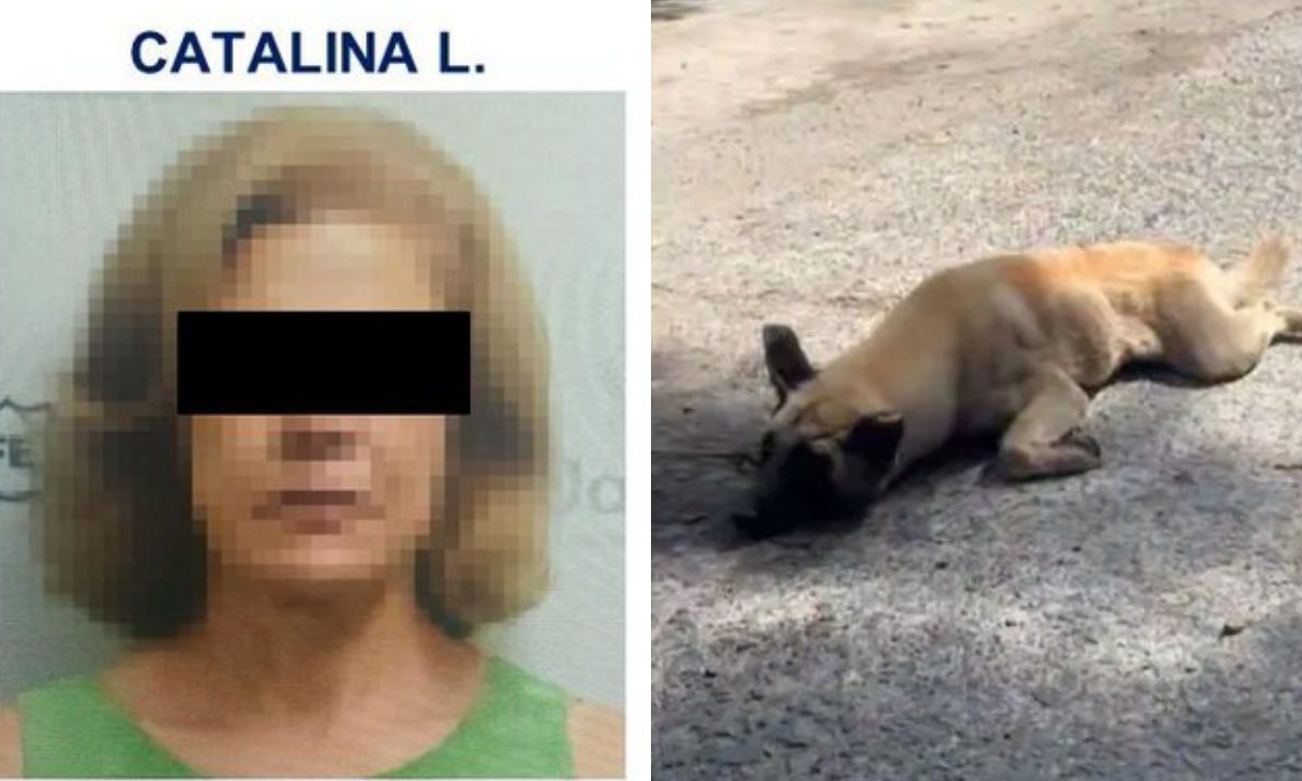 Vinculan a proceso a Catalina "L", por presuntamente arrastrar con su camioneta a un perrito en calles de Tlaquepaque