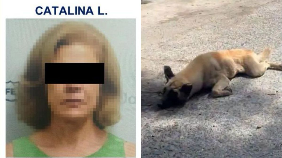 Vinculan a proceso a Catalina "L", por presuntamente arrastrar con su camioneta a un perrito en calles de Tlaquepaque