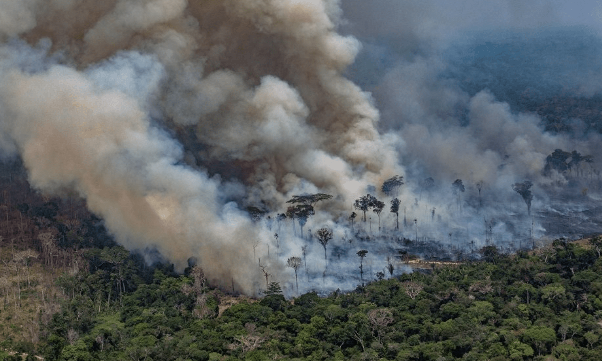 Sudamericana vive una de las peores sequías e incendios forestales en años