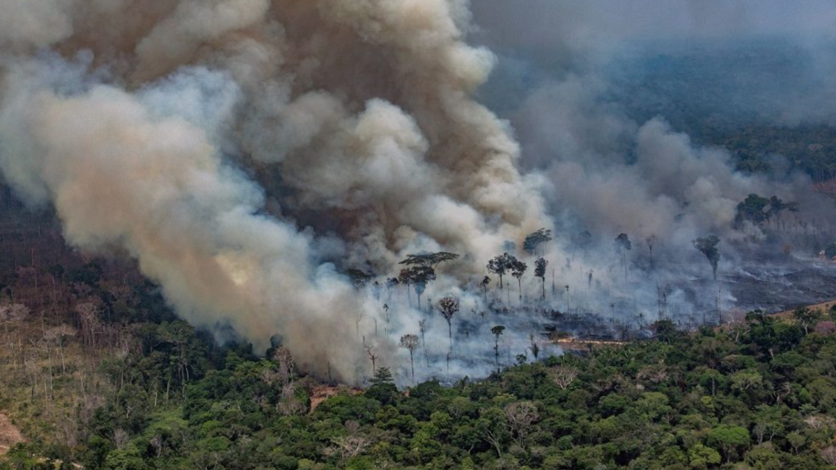 Sudamericana vive una de las peores sequías e incendios forestales en años