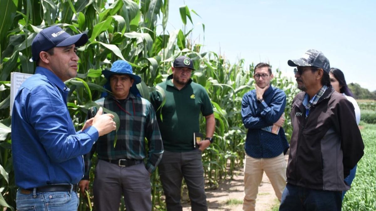 Con esta formación de especialistas, el CIMMYT y Gruma reafirman su compromiso con el desarrollo de sistemas agroalimentarios sostenibles en el país, con las mejores prácticas internacionales.