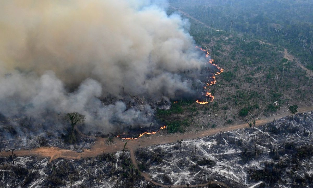 ACTIVIDAD HUMANA. Grandes extensiones de selva fueron transformadas en pastizales, mientras que otras áreas, en cráteres.