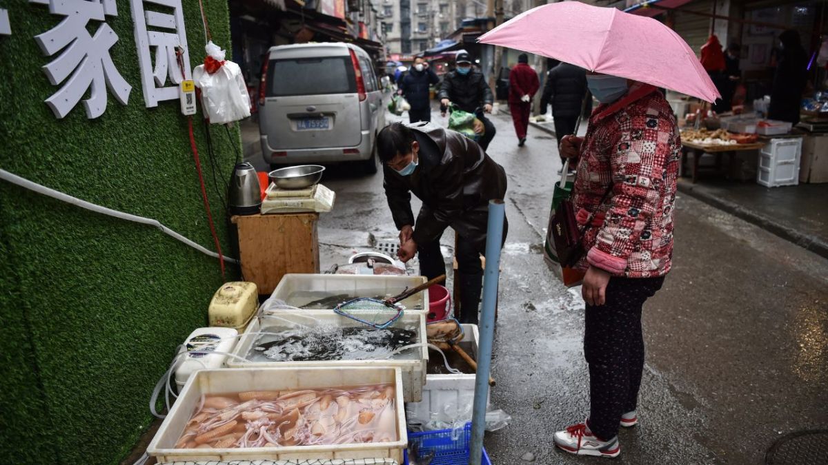 ZOONOSIS. El estudio reafirma la conexión entre el mercado de Huanan y el Covid-19, destacando el papel de animales salvajes como posibles huéspedes del virus.