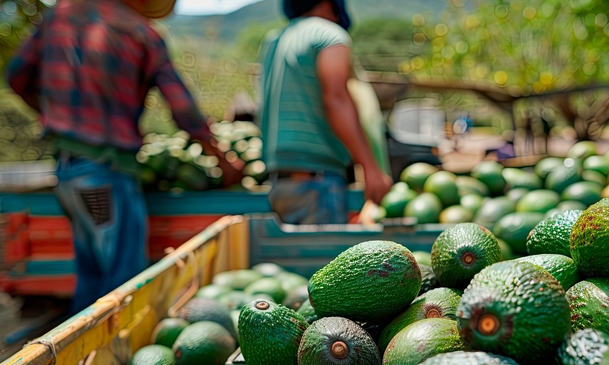 Estados Unidos acuerda con México transferir el muestreo y certificación de huertos a personal de la Secretaría de Agricultura