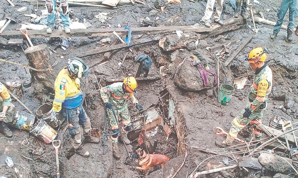 AFECTACIONES. También se desgajó el cerro Las Palmas, en el municipio de Jilotzingo.