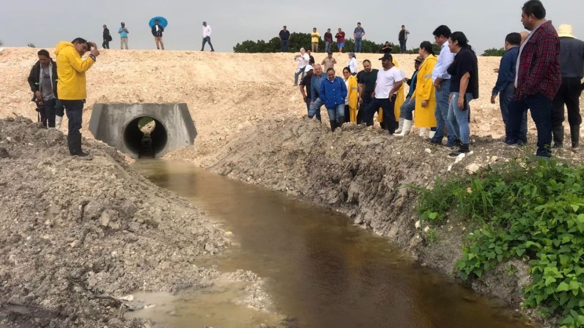 DAÑO COLATERAL. Las lluvias causaron inundaciones en los campos, lo que afectó a un gran número de productores en el sur del Q. Roo.