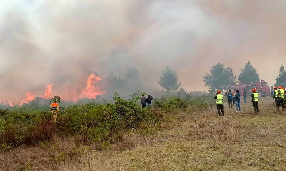 Crisis. Los peruanos enfrentan los incendios que ya afectaron los cultivos.