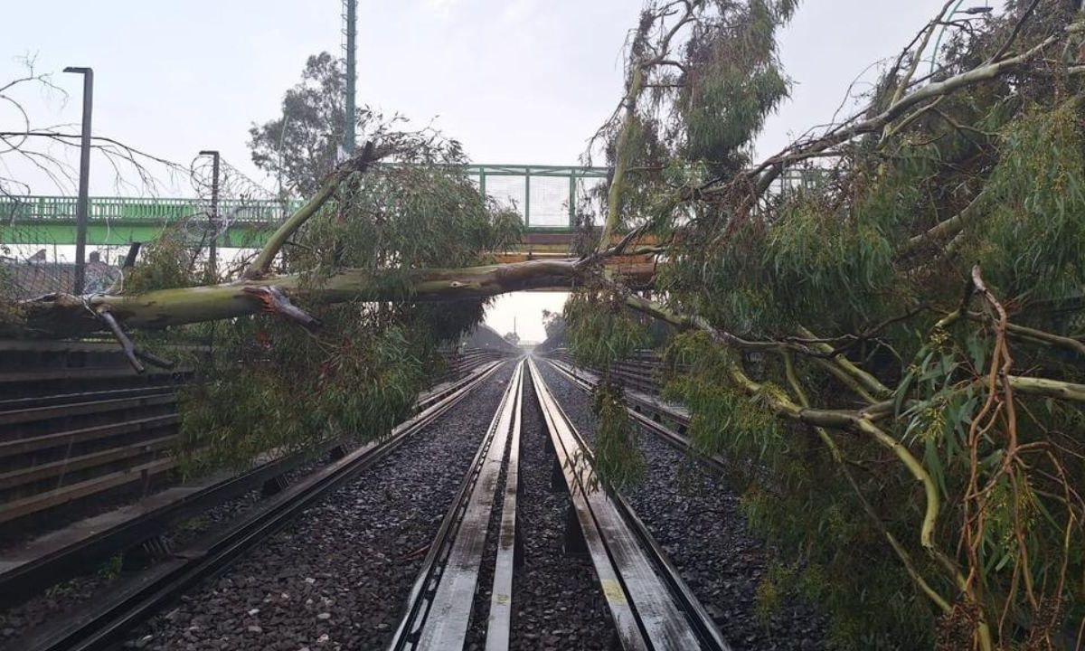 Impacto. La Línea B del Metro suspendió el servicio en 3 estaciones por el impacto de dos árboles.