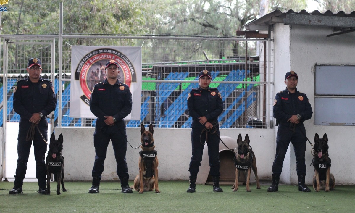 Foto: Secretaría de Seguridad Ciudadana/ 4 canes nuevos para detección de drogas y explosivos