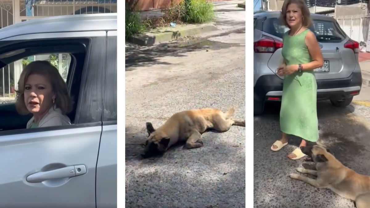 Una mujer fue exhibida en redes sociales luego de que fue captada arrastrando un perro con su camioneta en calles de Tlaquepaque