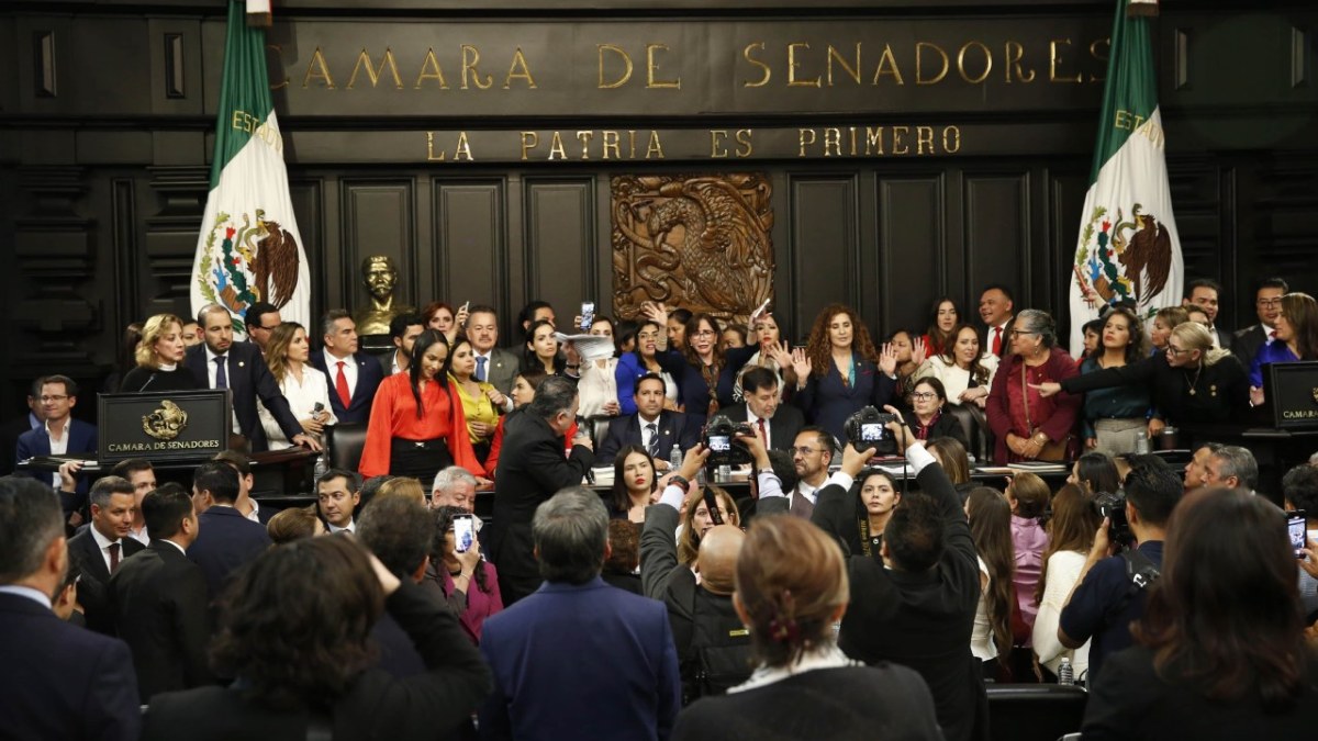 La reforma al Poder Judicial fue aprobada, en lo general, por el Senado de la República con 86 votos a favor y 41 en contra.