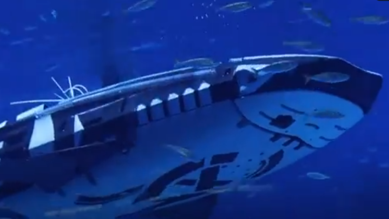 Dissatisfaction at Chinese aquariums over displays of robot whale sharks