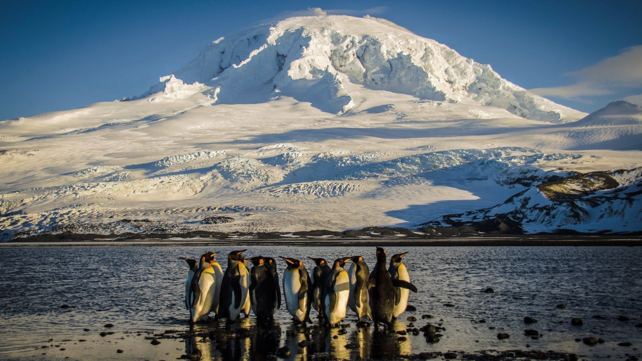 Australia will expand its Antarctic marine park four times