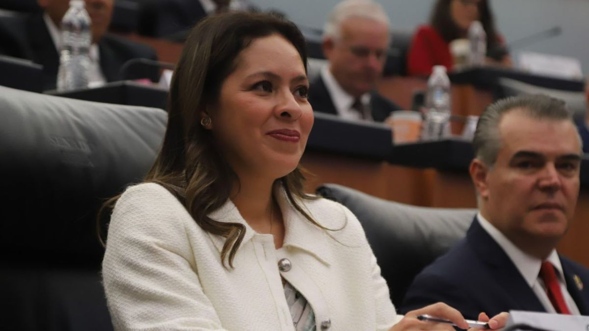 Karen Castrejón aclaró que el mensaje de Arturo Escobar, integrante del Consejo Político de su partido, criticando la iniciativa presentada por el senador de Morena, Adán Augusto López es a título personal.