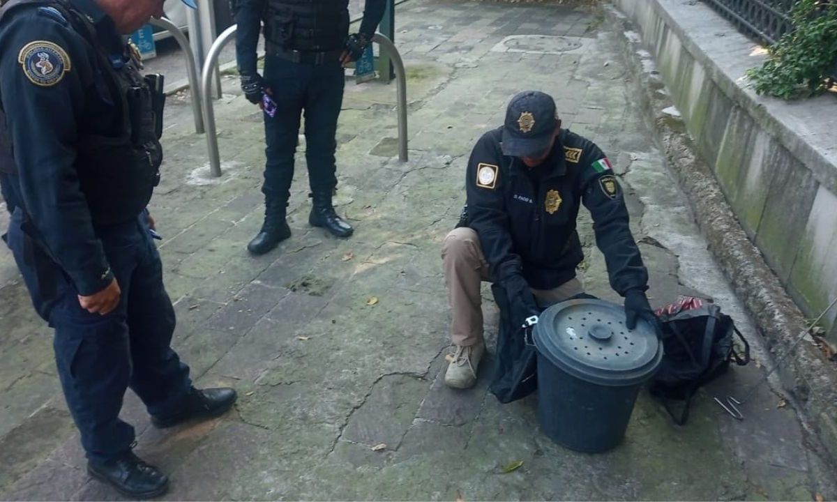 Elementos de la Brigada Animal aseguran serpiente de cascabel en Chapultepec.