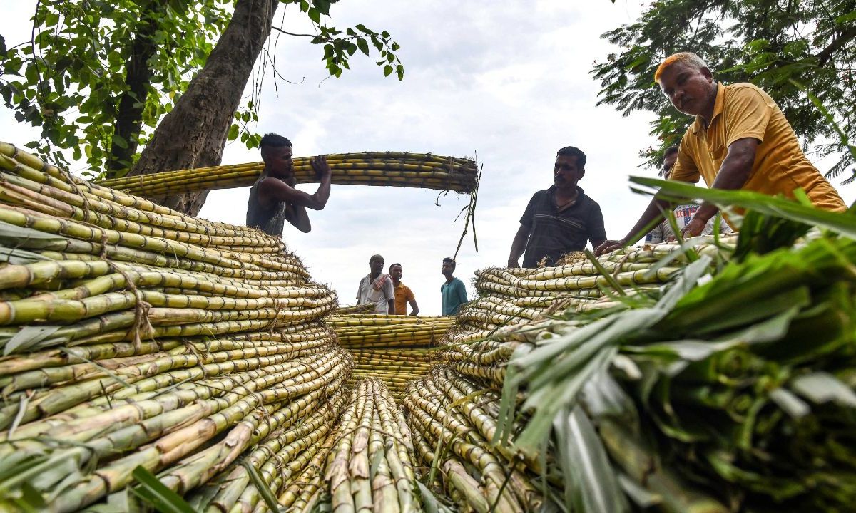 Los precios de los productos alimentarios en el mundo volvieron a aumentar en septiembre, por primera vez en 30 meses