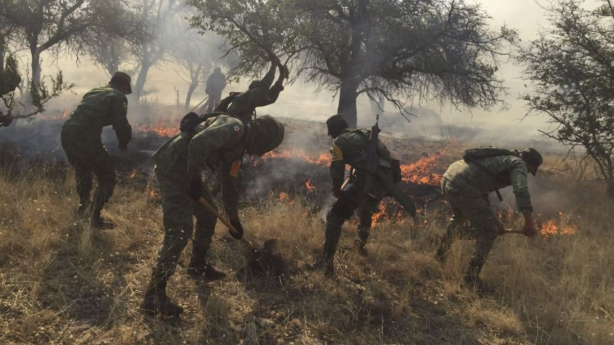 Labor. El Ejército y la Fuerza Aérea Mexicanos durante el combate de un incendio forestal registrado en Ricardo Flores Magón, Chihuahua en el 2019.