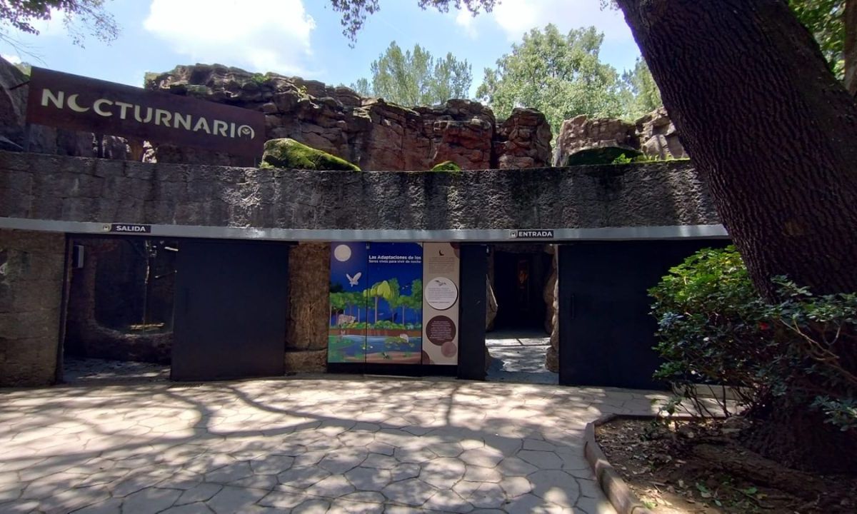 Ecología. En el “Nocturnario” los visitantes conocerán más sobre la fauna nocturna sin costo.