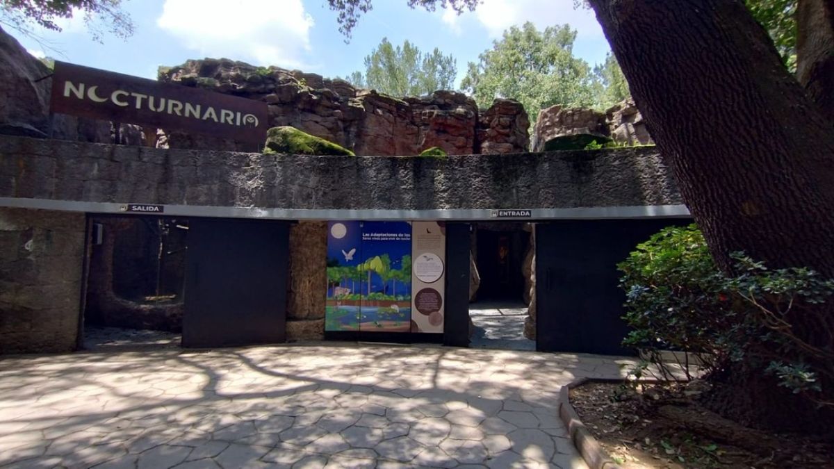 Ecología. En el “Nocturnario” los visitantes conocerán más sobre la fauna nocturna sin costo.