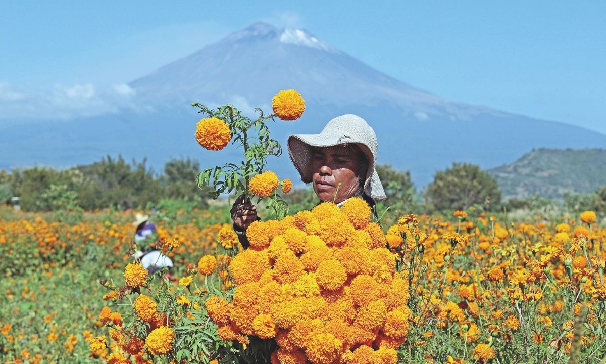 ASUSTAN. A la inflación hay que sumarle los daños por lluvias en algunos plantíos.