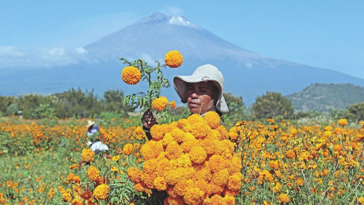 ASUSTAN. A la inflación hay que sumarle los daños por lluvias en algunos plantíos.