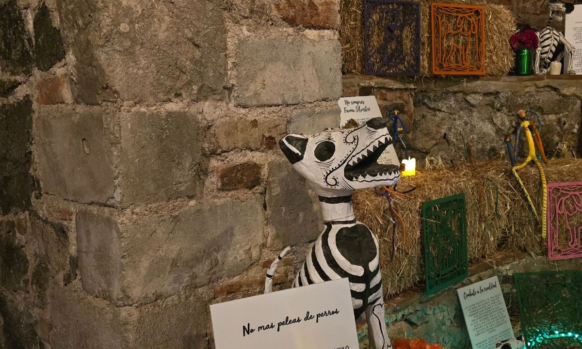 La tradición del Día de Muertos no es estática y además de honrar a los seres humanos queridos que han fallecido, ahora incluye a los animales que han acompañado con sus vidas a la sociedad