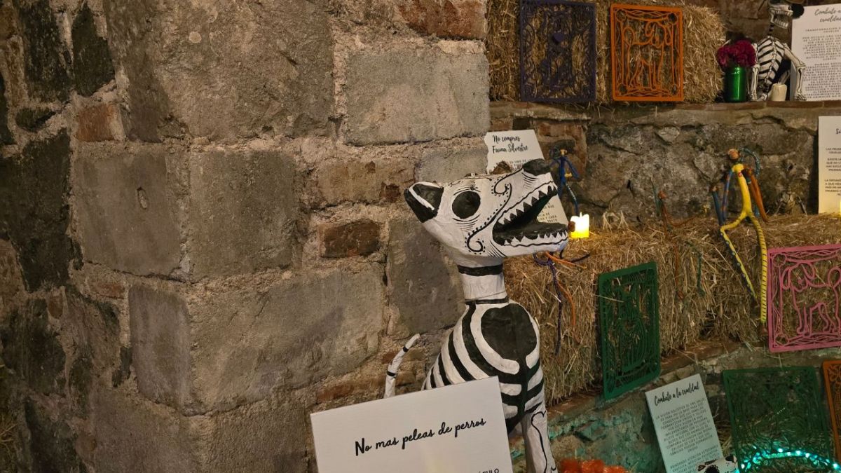 La tradición del Día de Muertos no es estática y además de honrar a los seres humanos queridos que han fallecido, ahora incluye a los animales que han acompañado con sus vidas a la sociedad