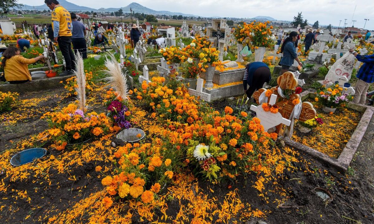 La flor de Cempasúchil simboliza el Día de Muertos en el país, gracias a su color y aroma es uno de los elementos más representativos de las ofrendas para los muertos que se colocan para el 2 de noviembre. Esta planta es originaria de México, su nombre proviene del náhuatl “Cempohualxochitl” que significa “veinte flores” o “varias flores”.