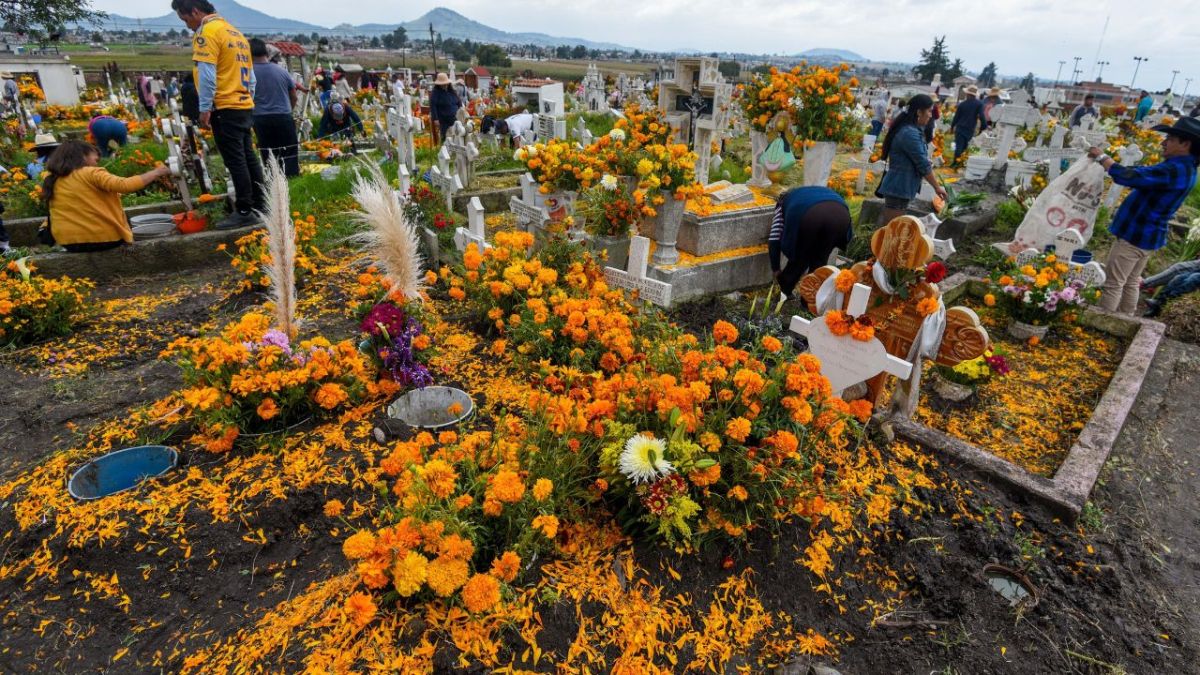 La flor de Cempasúchil simboliza el Día de Muertos en el país, gracias a su color y aroma es uno de los elementos más representativos de las ofrendas para los muertos que se colocan para el 2 de noviembre. Esta planta es originaria de México, su nombre proviene del náhuatl “Cempohualxochitl” que significa “veinte flores” o “varias flores”.