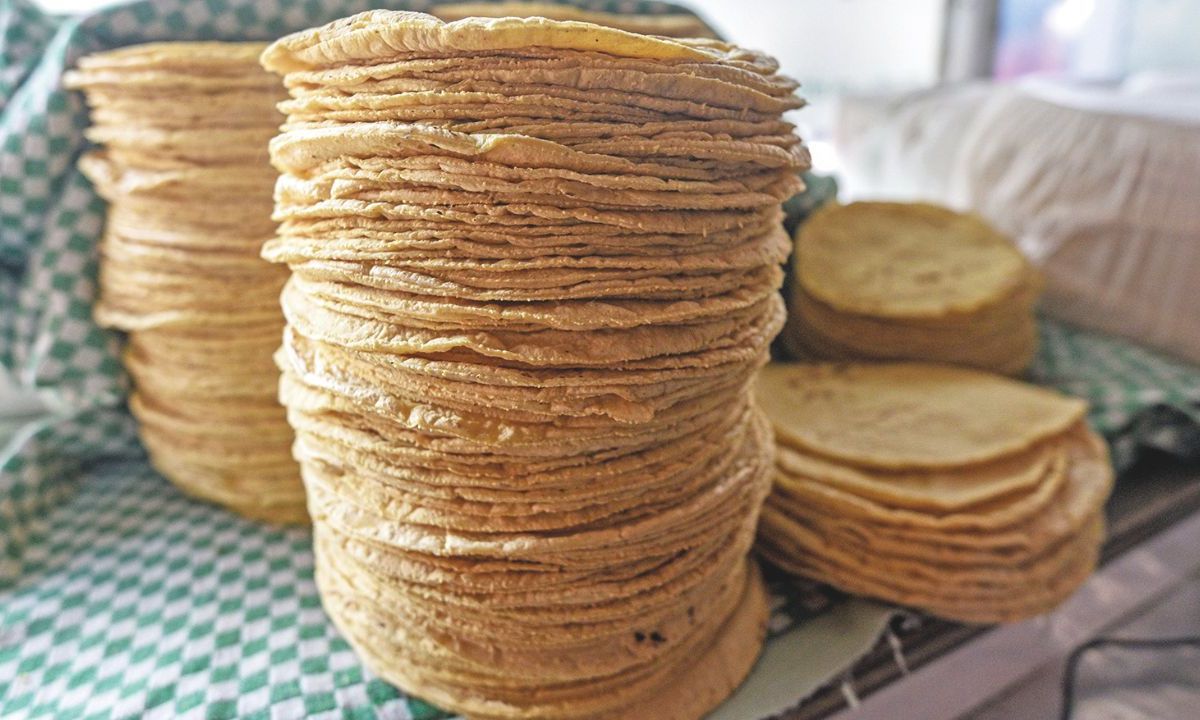 Reducir 10% el costo del kilo de tortilla en el país en términos reales durante el sexenio como lo plantea el Gobierno, generará distorsiones en el mercado