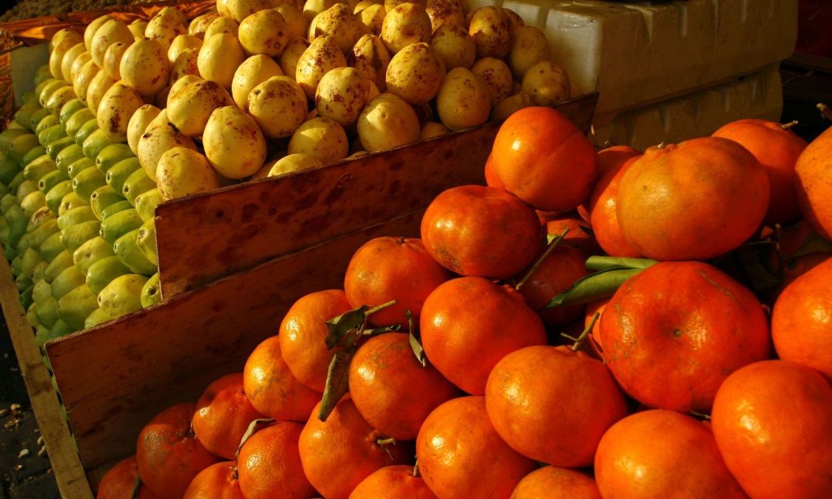 Procuraduría Federal del Consumidor (Profeco) recomendó consumir frutas y verduras de temporada, con lo que también se logrará un ahorro en el gasto de las familias.