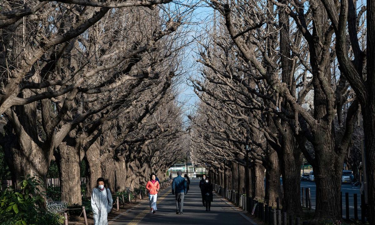 PELIGRO. La silvicultura también está amenazada, con más de cinco mil especies de árboles de la lista roja