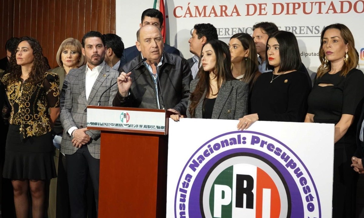 En conferencia de prensa, el coordinador Rubén Moreira detalló que la consulta se hará a través de una página web