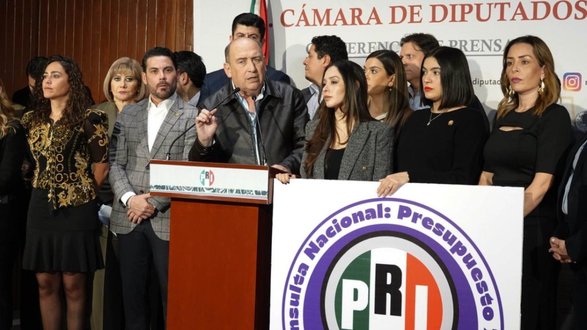 En conferencia de prensa, el coordinador Rubén Moreira detalló que la consulta se hará a través de una página web