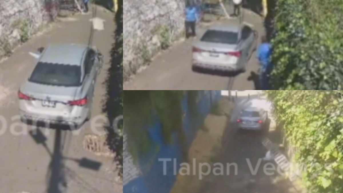 A través de redes, circula un video en el que un automovilista atropelló a una persona que hacia poda de árboles en la alcaldía Tlalpan