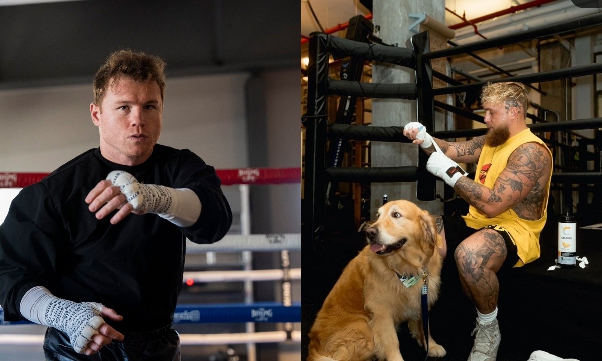 Canelo descarta pelea con paul