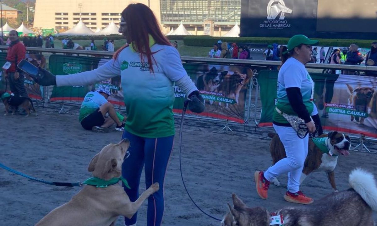 Titular de Agatan se suma a carrera por los perros sin hogar