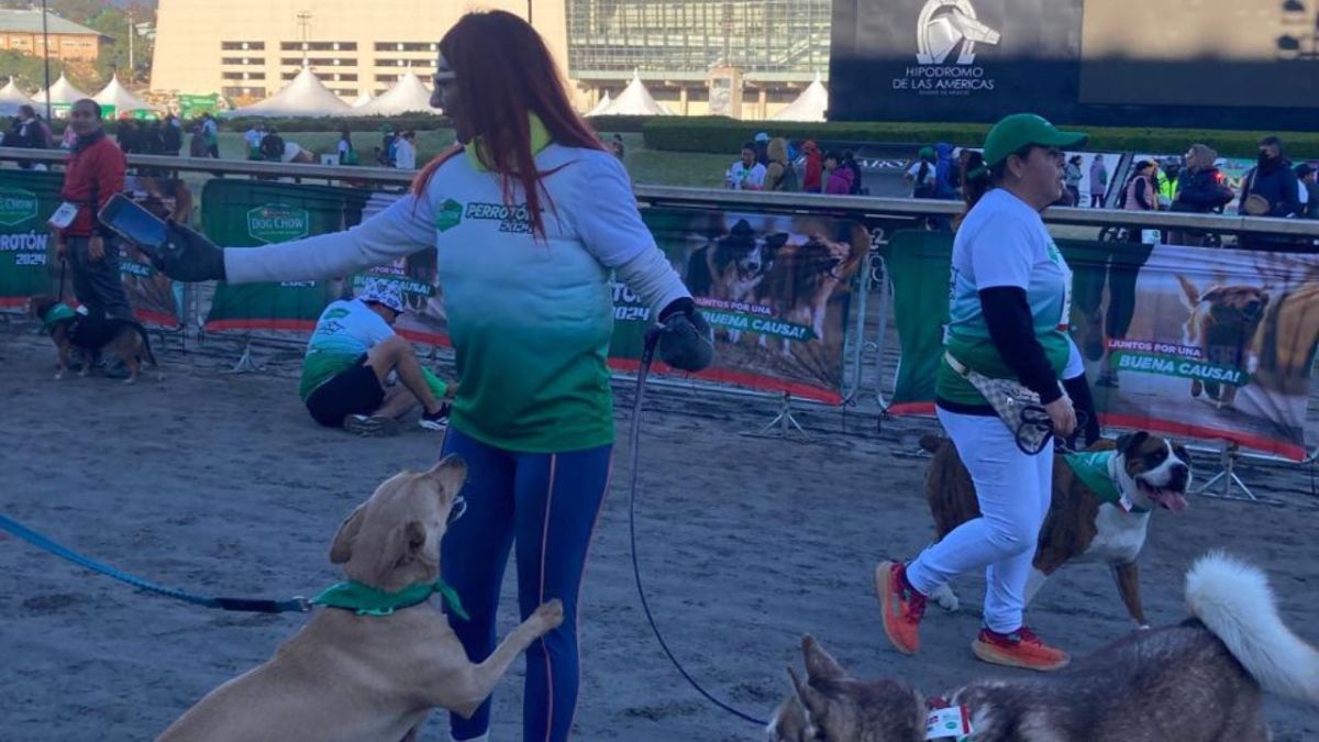 Titular de Agatan se suma a carrera por los perros sin hogar